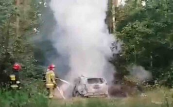 Ukradli i spalili samochód w Zielonej Górze (FILM, ZDJĘCIA CZYTELNIKA)