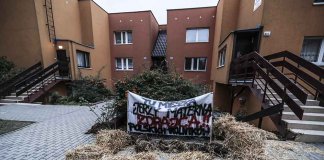 Rolnicy rozrzucili obornik pod domem posła Materny (ZDJĘCIA)