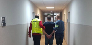 Kradzionym mercedesem wypadł z drogi pod Zieloną Górą. Uciekł. 26-latek został aresztowany (FILM, ZDJĘCIA)