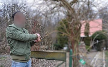 To seryjny działkowy złodziej. Zamieszkał nawet w jednej z altanek gromadząc tam fanty