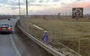 Dziecko szło przy ekspresowej drodze. Lubuscy policjanci kilka dni szukali tego miejsca. Wynik zaskakuje (FILM)