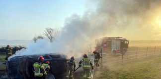 Samochód wypadł z drogi i zapalił się. Spłonął doszczętnie