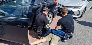 Kryminalni przejęli lewy tytoń, aż 100 kg. W paczkach rozwoził go zielonogórzanin (ZDJĘCIA)