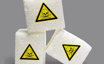 Uwaga. Ktoś truje dzikie zwierzęta na działkach na Jędrzychowie. Padł też pies