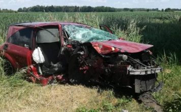 Makabryczny wypadek. Renault uderzyło w drzewo i staranowało rowerzystę. Mężczyzna zginął na miejscu (ZDJĘCIA)