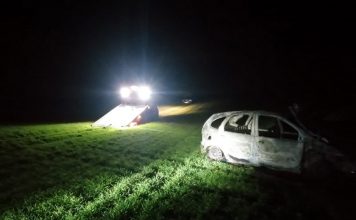 Spalony samochód znaleziono na polu koło Sulechowa (FILM)