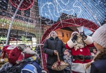 Dziś Miejskie Mikołajki w Zielonej Górze i odpalenie świątecznych ozdób