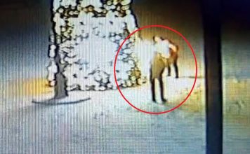 Wandale oblali choinkę benzyną i podpalili (AKTUALIZACJA)