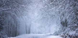 Ważne. Wydano ostrzeżenie dotyczące oblodzenia dla Zielonej Góry i regionu. Ma być minus 10 stopni