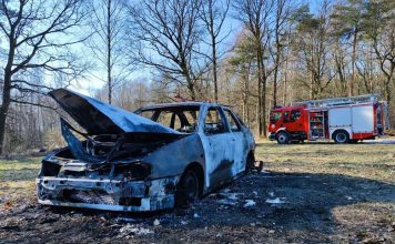 Strażacy zgasili pożar samochodu i zobaczyli coś makabrycznego (ZDJĘCIA)