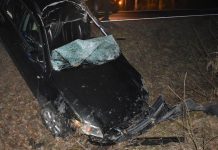 Koszmarne zderzenie z łosiem. Nie żyje 33-letni kierowca volkswagena (ZDJĘCIA)