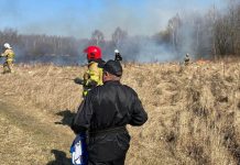 Makabra. Zwęglone ciało kobiety znaleziono w wypalanej trawie. Mieszkała blisko miejsca pożaru