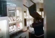 Tak szaleniec zdemolował salon Apartu w galerii Focus w Zielonej Górze (FILM)