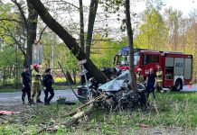 Poważny wypadek w Zielonej Górze. Bmw dosłownie owinęło się na drzewie (ZDJĘCIA)