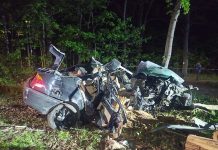 Dosłownie owinął bmw o drzewo w Zielonej Górze. Prawo jazdy ma od… dwóch miesięcy (ZDJĘCIA)