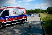 Tragedia. Dwuletni chłopczyk zginął potrącony przez auto. Babcia była pijana, ale nie trafi za kraty