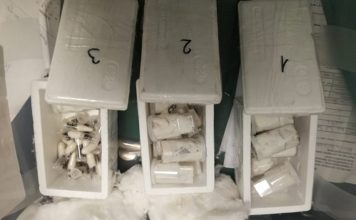 Kurier otworzył paczkę i zamarł ze strachu (ZDJĘCIA)