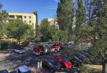 Akcja strażaków i policji na osiedlu w Zielonej Górze. Wchodzili do mieszkania (ZDJĘCIA CZYTELNIKA)