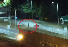 Absurd w Zielonej Górze. Kosili trawę nocą (ZDJĘCIE CZYTELNIKA)