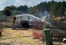 Wypalała trawę w Zielonej Górze. Spłonęła jej szopa, a poparzona kobieta trafiła do szpitala (ZDJĘCIA)