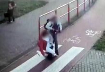 Wypadek w Zielonej Górze. Jadąca hulajnogą zderzyła się z kobietą. Piesza z obrażeniami głowy trafiła do szpitala (FILM)