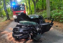 Poważny wypadek pod Zieloną Górą. Pijany kierowca fiatem roztrzaskał się o drzewo. Wycinali go strażacy (ZDJĘCIA)