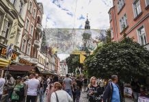 Winobranie 2022. W pierwszy dzień policjanci wypisali 50 mandatów