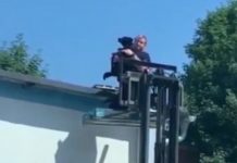 Jak on się tam znalazł ? Pies na dachu, interweniowała policja (FILM)