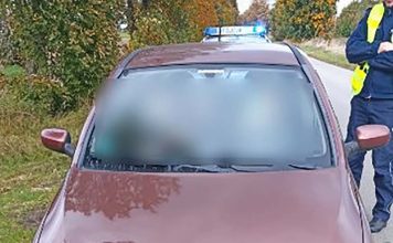 Kiedy policjanci zobaczyli tablice rejestracyjne opla zaniemówili