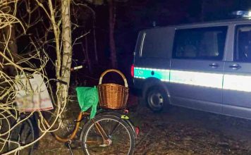 Kobieta zaginęła w lesie. Ogłoszono alarm dla komendy policji