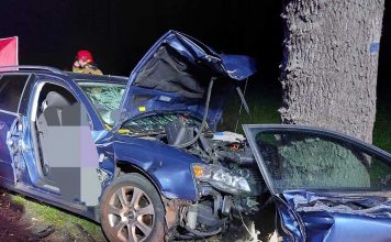 Śmiertelny wypadek w Trzcielu. Audi uderzyło w drzewo. Zginęła kobieta (ZDJĘCIA)