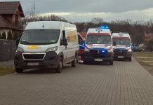Kurier busem potrącił dwie osoby. Na miejscu karetka i zielonogórska policja (ZDJĘCIA)