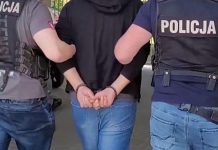 Seria włamań do domów w Zielonej Górze i okolicach. Szajka złodziei zatrzymana (FILM)