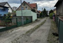 Przejechał psa w Zielonej Górze i uciekł. York padł