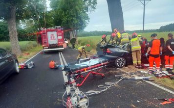 Poważny wypadek koło Świebodzina. Renault uderzyło w drzewo. Kierowcę wycinali strażacy (ZDJĘCIA)