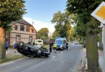 Wypadek w Zielonej Górze. Ford uderzył w drzewo i dachował. Wszystko przez owada (ZDJĘCIA CZYTELNIKÓW)