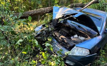 Kompletnie pijany wiózł skodą troje dzieci i żonę. Uderzył w drzewo w Drezdenku