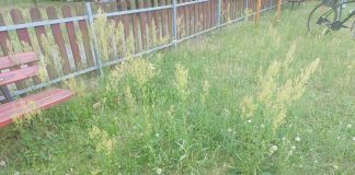 To plac grozy, a nie zabaw w Zielonej Górze. Wszystko stare, zaniedbane i skrzypi (FILM, ZDJĘCIA CZYTELNIKA)