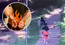 17-latek zaatakował dziewczynę w Zielonej Górze. Wyrwał jej słuchawki (FILM)