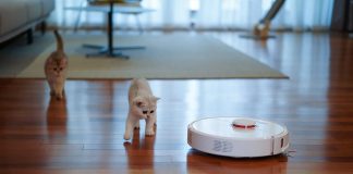 Na co trzeba zwracać uwagę, wybierając odkurzacz?