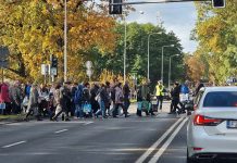 Wszystkich świętych. Sytuacja na drodze przy cmentarzu w Zielonej Górze. Relacja live
