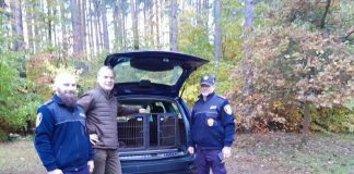 Zielonogórska straż miejska dostała specjalną klatkę do przewozu zwierząt (ZDJĘCIA)