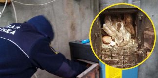 Straż miejska kontroluje czym palimy w piecach w Zielonej Górze. Niestety spalamy „syf” (ZDJĘCIA)