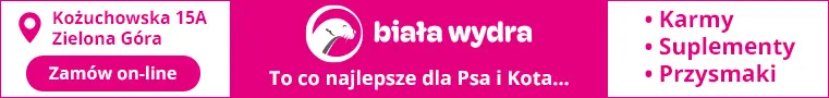 Biała Wydra - poscigi.pl