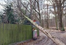 Wichura w woj. lubuskim. 202 interwencji straży pożarnej. Drzewo upadło na akademik UZ