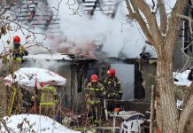 Pożar budynku na działkach w Zielonej Górze. Bezdomni podpalili i uciekli (FILM, ZDJĘCIA)