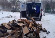 Zielona Góra. Strażnicy miejscy poszli na zwykłą kontrolę opału w piecu. To co zobaczyli złamało ich serca (ZDJĘCIA)