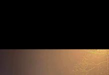 Samochód trzy godziny blokował przejazd w Zielonej Górze