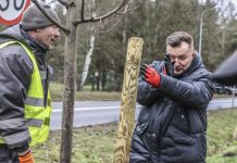 Kolejne drzewa posadzono w Zielonej Górze. To akcja „800 drzew na 800-lecie miasta” (ZDJĘCIA)