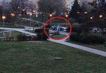 Boltem jechał po ścieżce rowerowej w Zielonej Górze (FILM CZYTELNIKA)